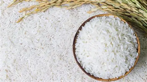 Indian rice